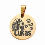 GATO 02 Placas identificación para mascotas perros gatos acero anti-pérdida mascotas