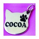 blanco 05 Placa plateada