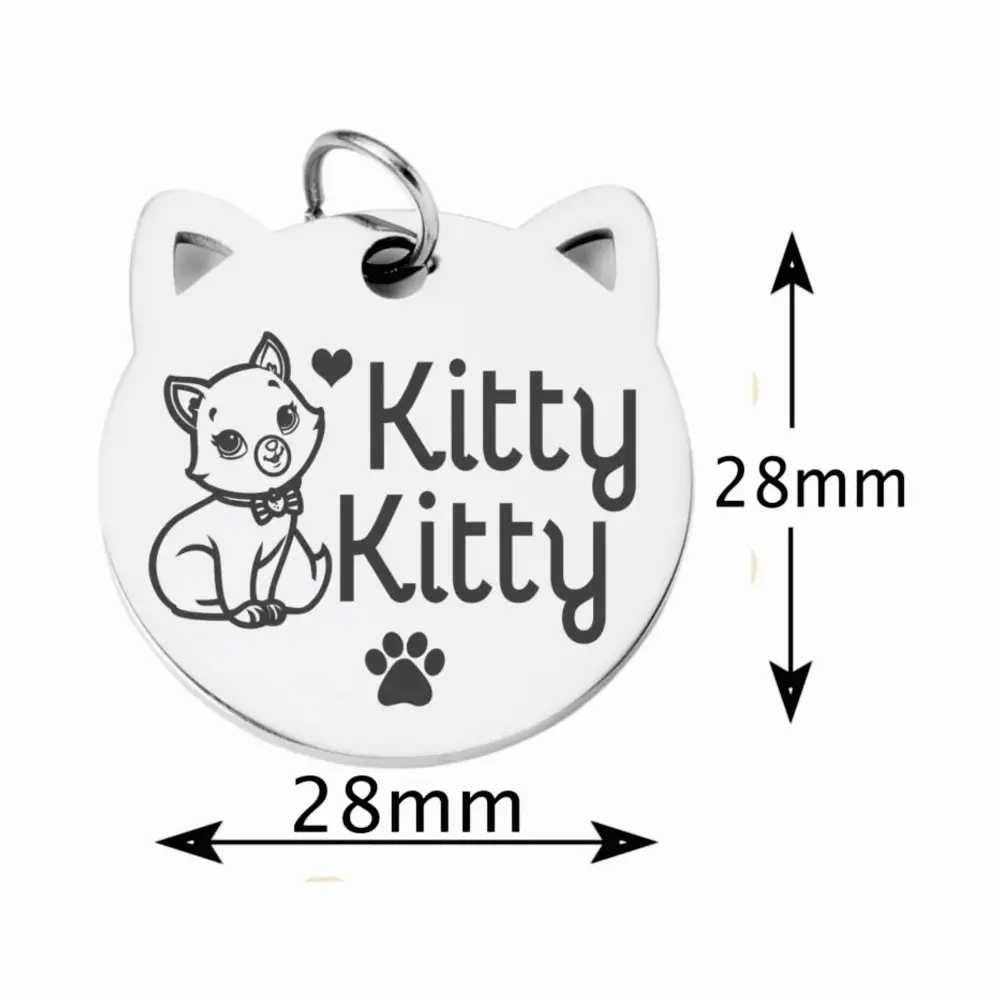 placa011a Medalla color plata