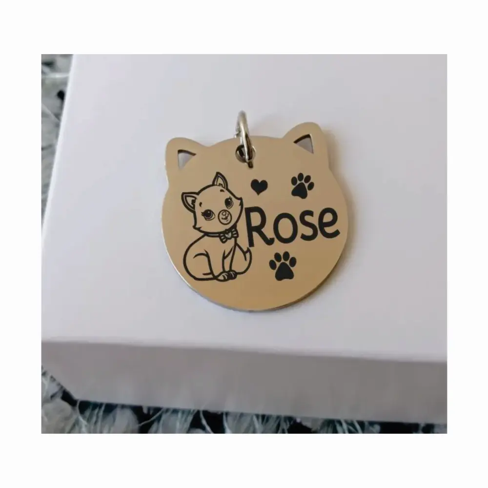 placa011c Medalla color plata